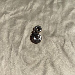 Year of the pig Pandora charm